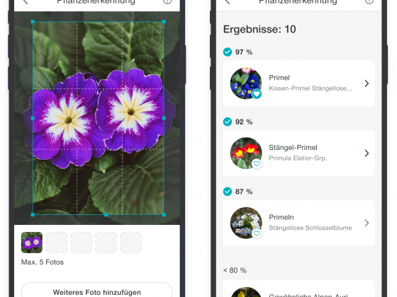 GARDENA smart App: Pflanzen jetzt noch einfacher bestimmen
