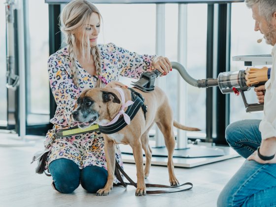 Dyson launcht neue Bürstentechnologie