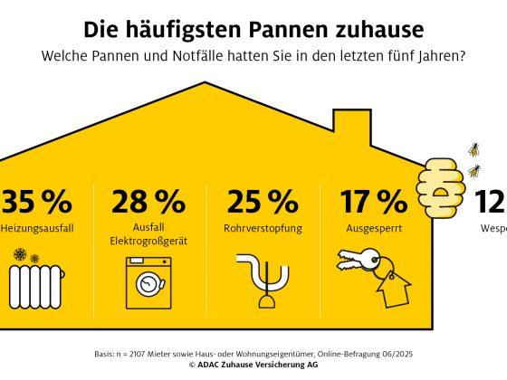 Die häufigsten Pannen zuhause *. Grafik: ADAC SE