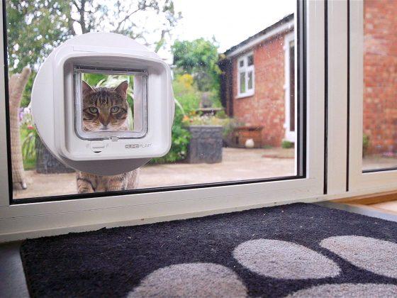 Clevere Gadgets für clevere Kater: SureFlapMikrochip-Katzenklappe.