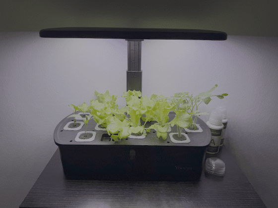 Yoocaa Hydroponische Anzuchtsystem im Test: Grüne Pflanzen zu jeder Jahreszeit