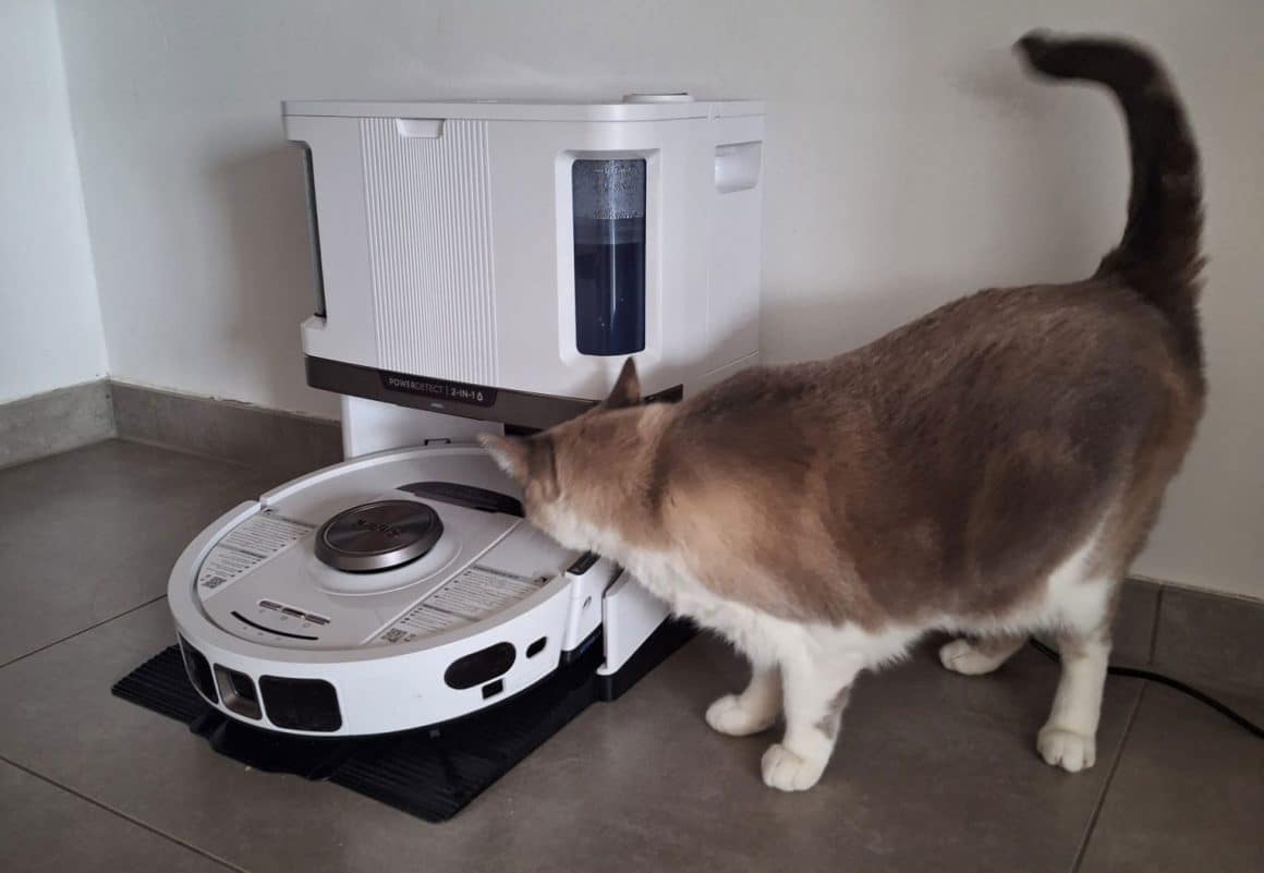 Katze neben Shark Detect