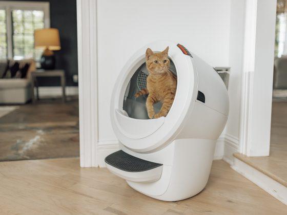 Litter-Robot 4: Smarte Katzentoilette übernimmt die Reinigung selbst