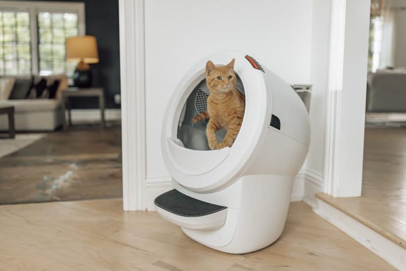 Litter-Robot 4: Smarte Katzentoilette übernimmt die Reinigung selbst