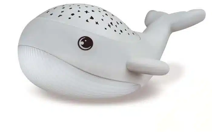 Willy Whale
