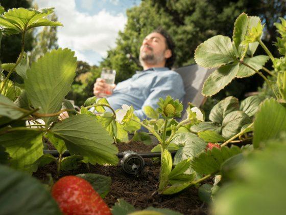 GARDENA Micro-Drip-System Tropfbewässerung Set Hochbeet/Beet – bringt das Wasser direkt an die Wurzeln, präzise und gleichmäßig. Stiftung Warentest Qualitätsurteil: Gut (1,6)