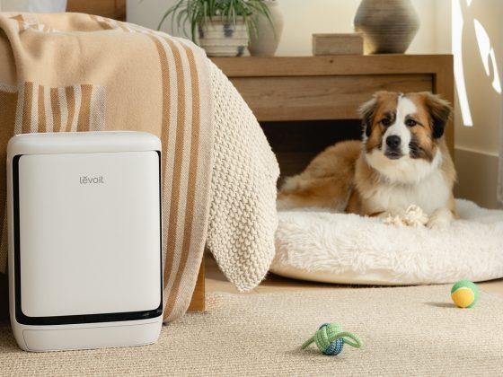 Levoit Vital Pet Pro: Luftreiniger für Haushalte mit Haustieren